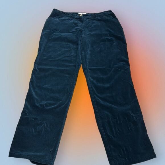 CHICO’S Women’s 0.5 Small Blue Green Velour Pant - Picture 2 of 4